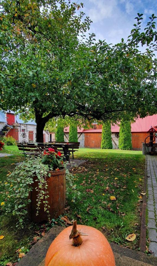 Sloneczna Dolina Nad Biebrza ξενώνας Goniadz Εξωτερικό φωτογραφία
