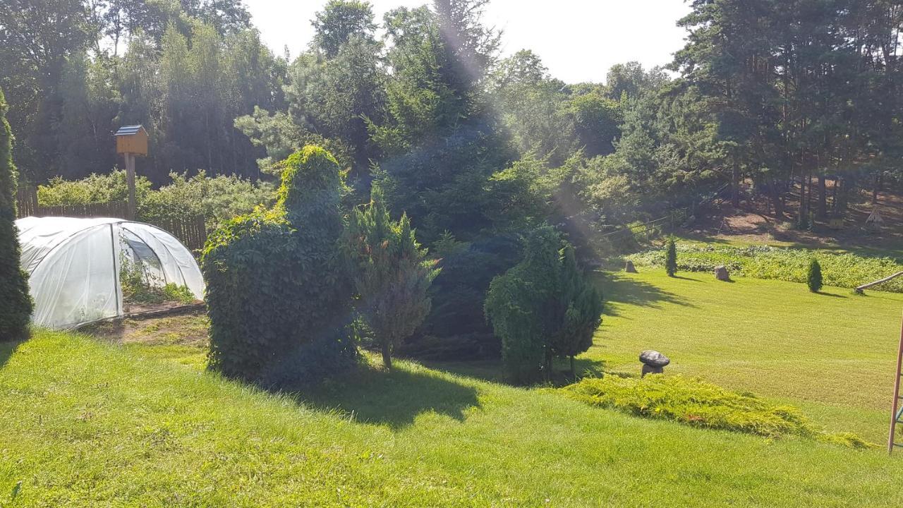 Sloneczna Dolina Nad Biebrza ξενώνας Goniadz Εξωτερικό φωτογραφία