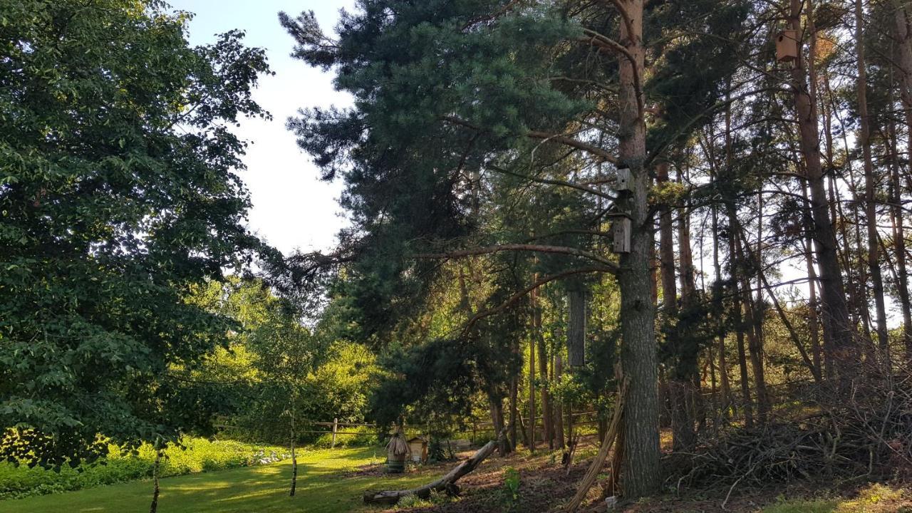 Sloneczna Dolina Nad Biebrza ξενώνας Goniadz Εξωτερικό φωτογραφία