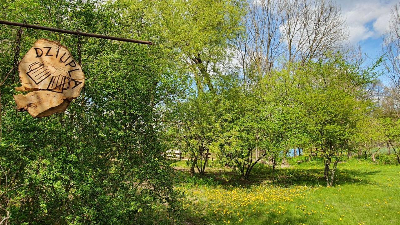 Sloneczna Dolina Nad Biebrza ξενώνας Goniadz Εξωτερικό φωτογραφία