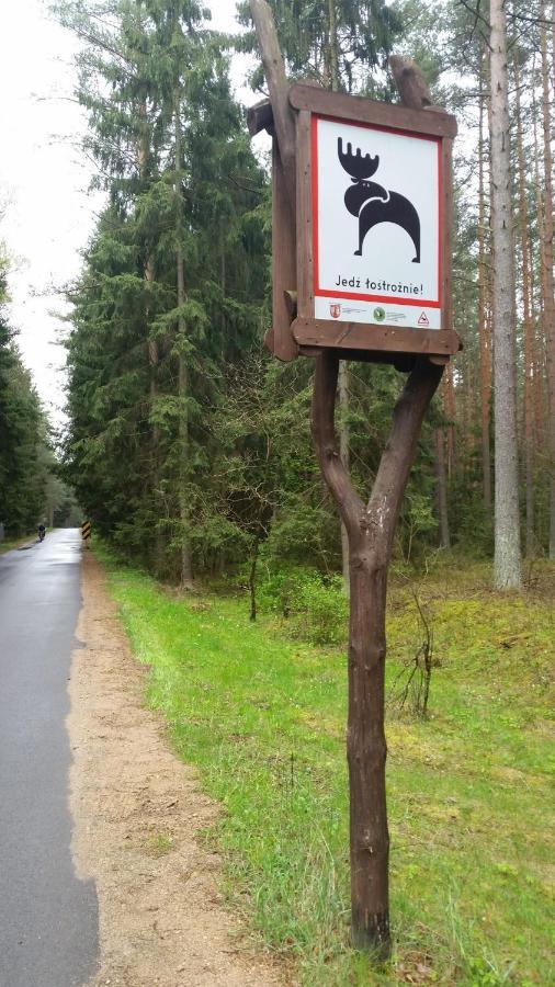 Sloneczna Dolina Nad Biebrza ξενώνας Goniadz Εξωτερικό φωτογραφία